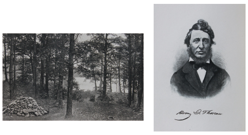 ヘンリー デイヴィッド ソロー ウォルデン または森の生活 貴重書ギャラリー ギャラリー 甲南女子学園